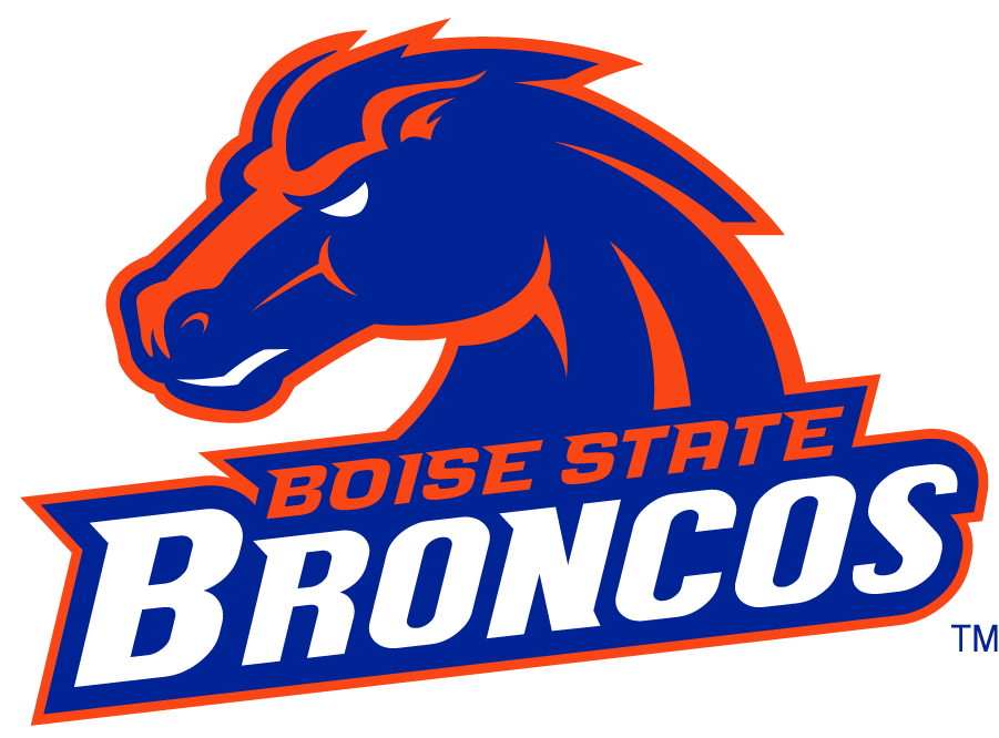 Boise State Broncos 2002-2012 Secondary Logo v10 diy DTF decal sticker